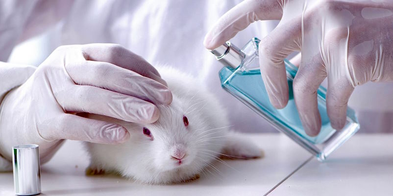 animal testing